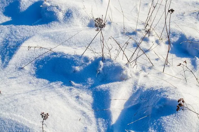 Washago Centennial Park