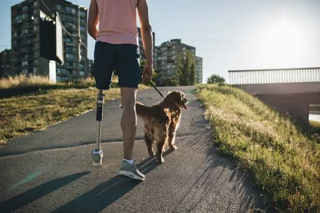 Parc du Quai-de-La Tortue