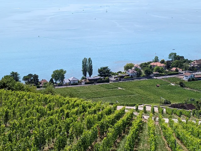 Domaine du Daley