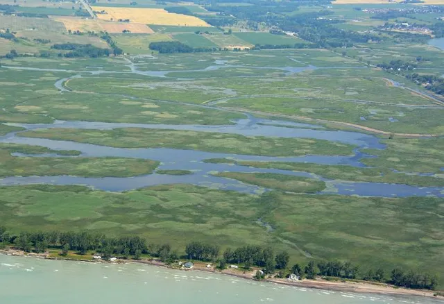 Big Creek National Wildlife Area