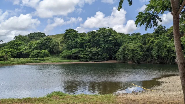 place image