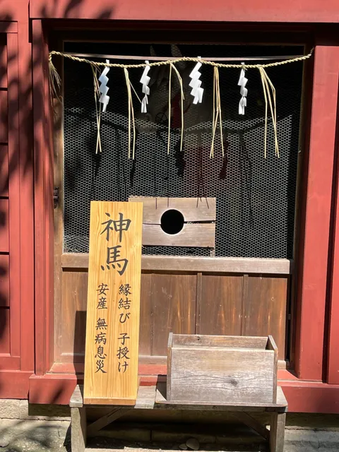 photo-1