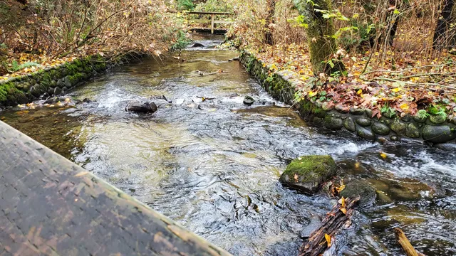 Hoy Creek Linear Park