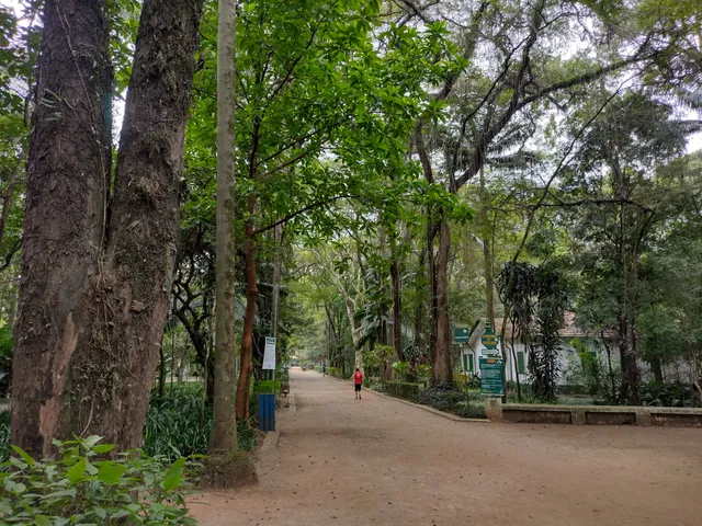 Parque Piqueri