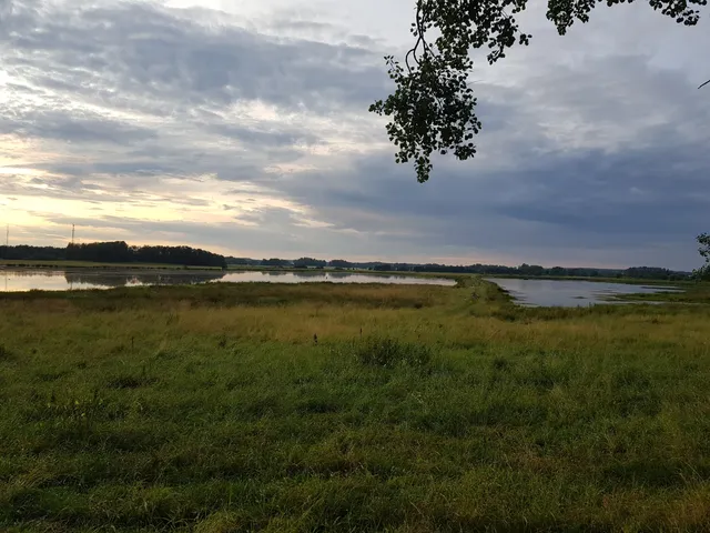 Nature reserve Boglundsängen