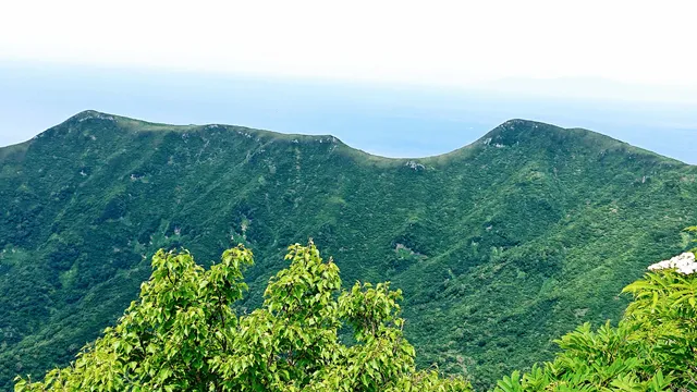 Mt. Kariba