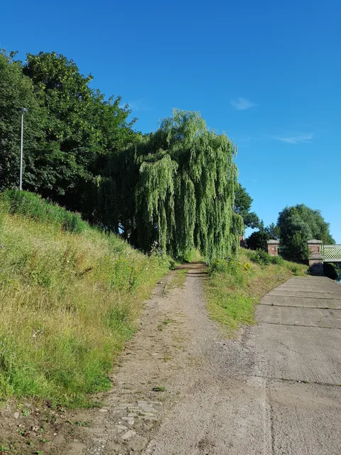 photo-2