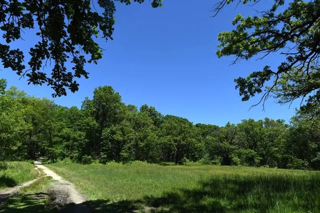 Moraine Hills State Park