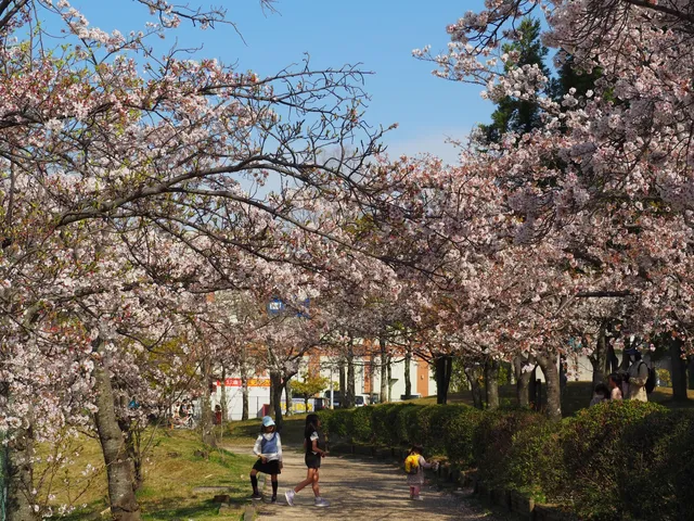 Takatsuka District Park