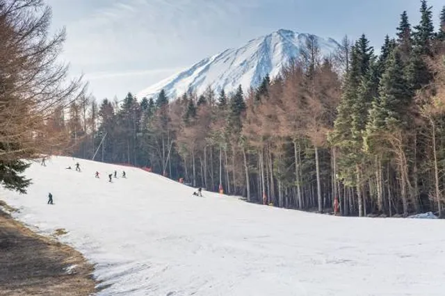 Snow Valley Mountain Resort