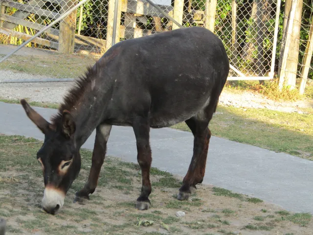 Highfield Gardens Reserve