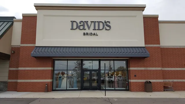 David's Bridal Novi MI