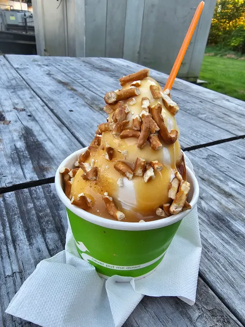 Iggy's Frozen Custard