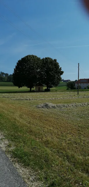 Ferienhof Ziermetzer Fam Schwab