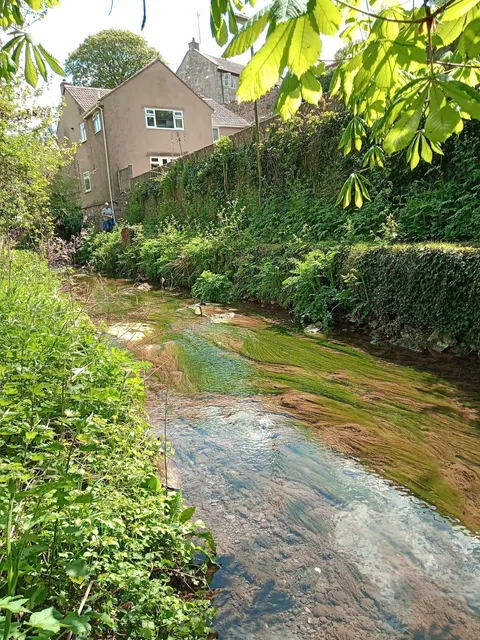 Frome Valley Walkway