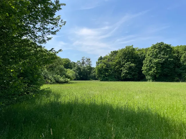 Přírodní park Niva Dyje