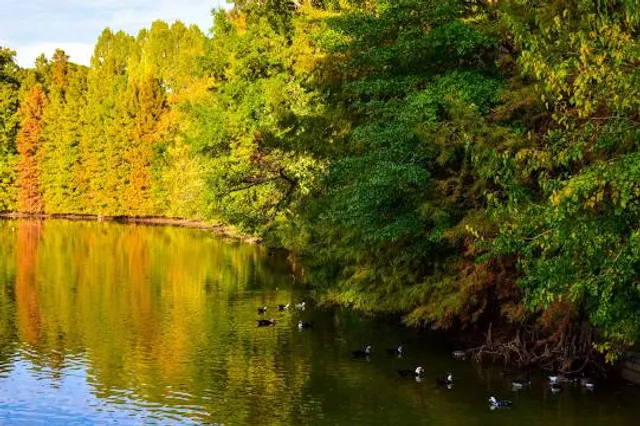 Leonardslee Lakes & Gardens