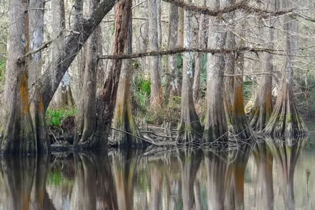 Camp Salmen Nature Park