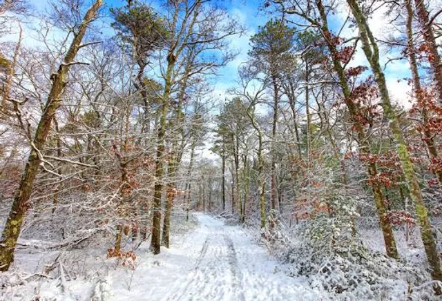 photo-1