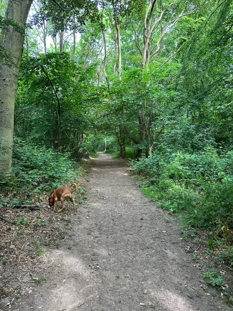 Raywell Park Scout Activity Centre