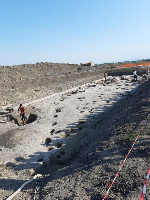 Area Archeologica Terramara Santa Rosa Di Poviglio