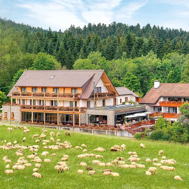 HOTEL GRÜNER WALD