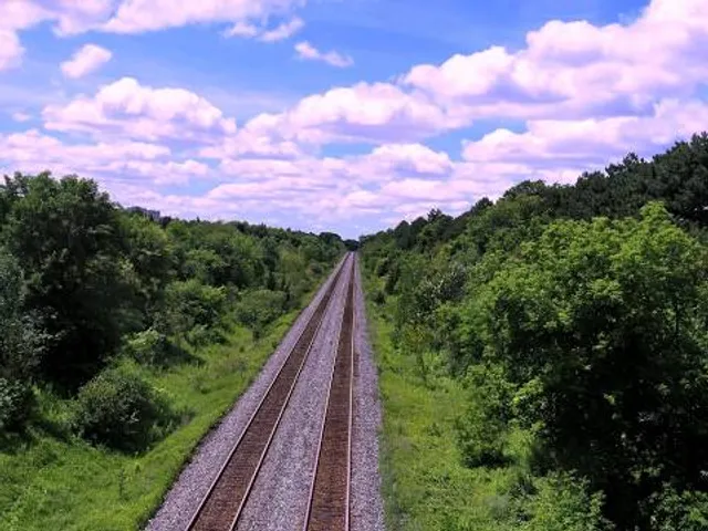 Cascada De Atoyac Veracruz