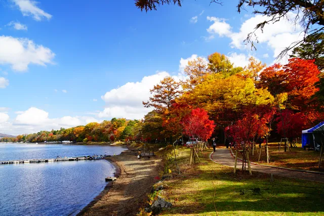 Asahigaoka Lakeside Greenspace Park