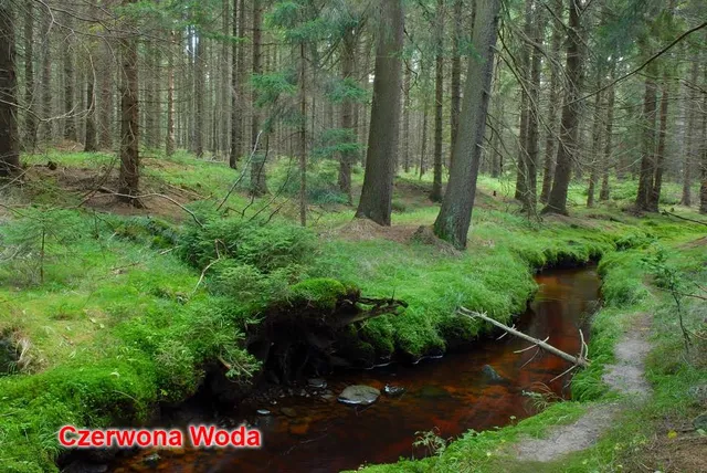 Czerwona Woda