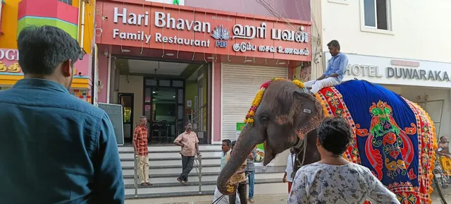 Hari Bhavan Family Pure Veg(No onion&No garlic) Restaurant