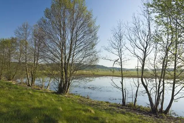 photo-2