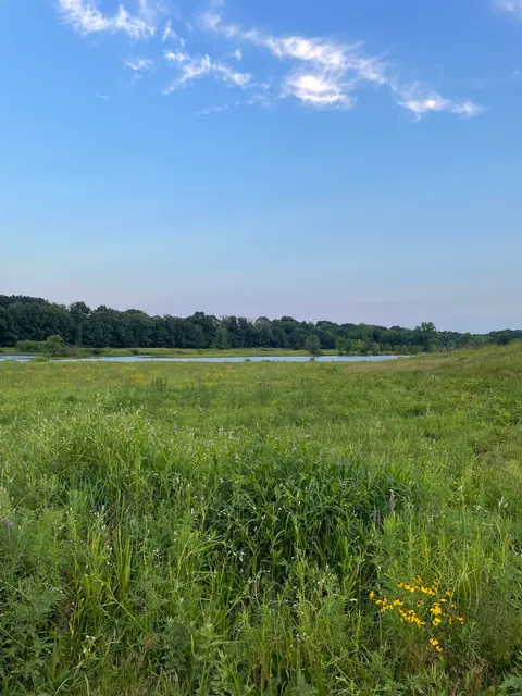 Nod Brook Wildlife Management Area