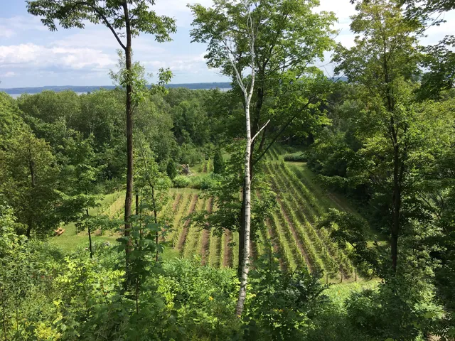 Domaine des 3 Moulins