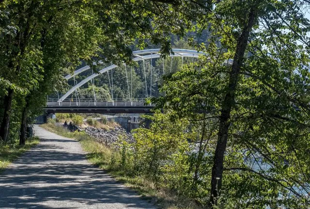 Vedder Bridge