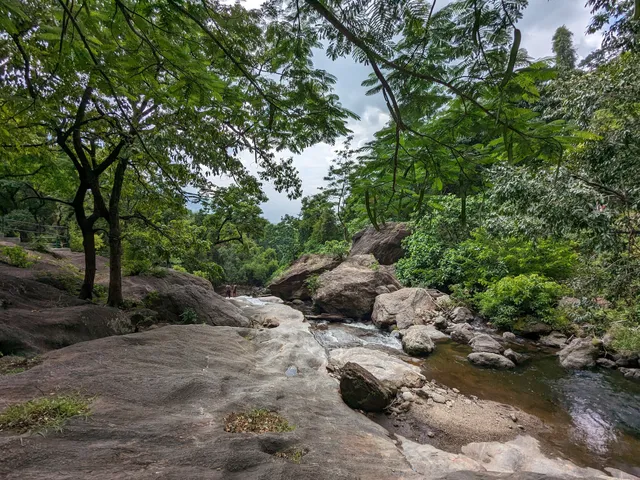 photo-1