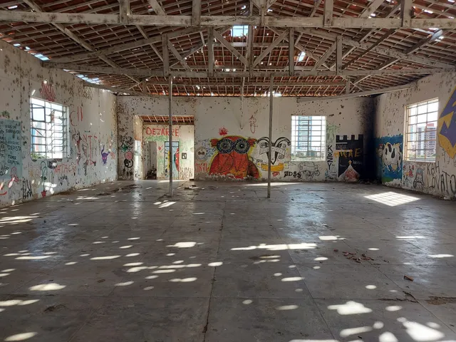 photo-1