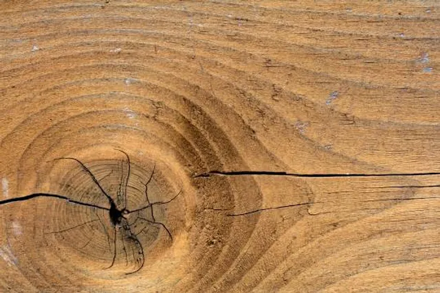 Kolatoli Beach Cox's Bazar