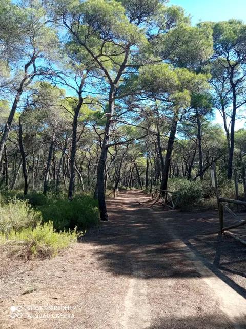photo-3