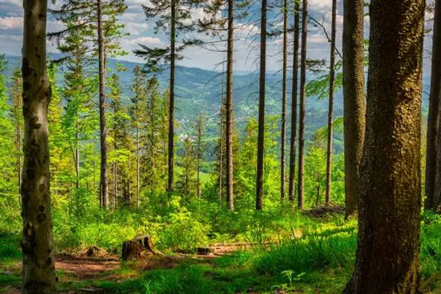 Rezerwat przyrody Śrubita