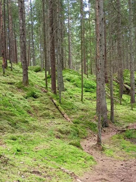 Slereboåns Dalgång