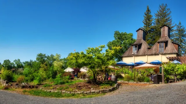 Russian River Vineyards