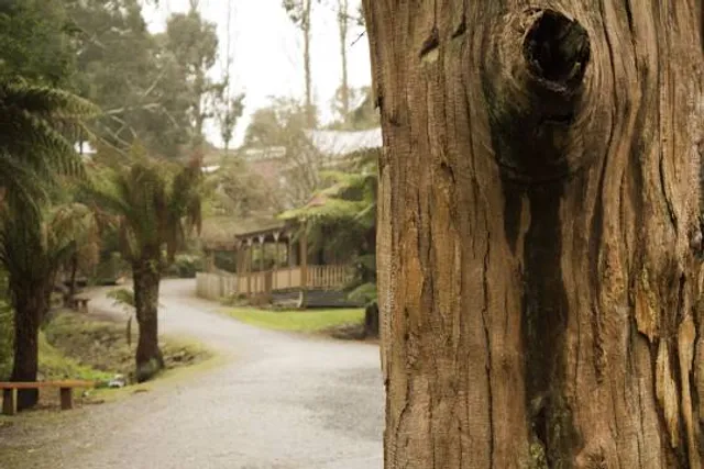 Coal Creek Community Park & Museum