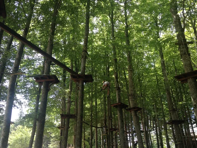 Parco Avventura Indiana Park Amiata