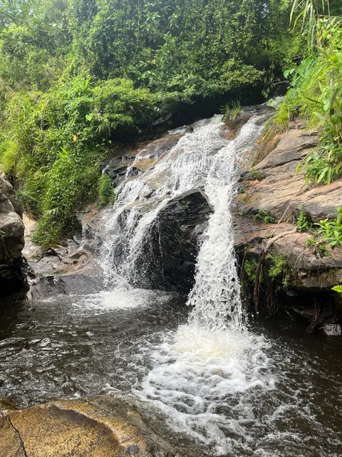 Wang Bua Ban Pha Ngoep