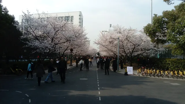 Tongji University Material Science Hall