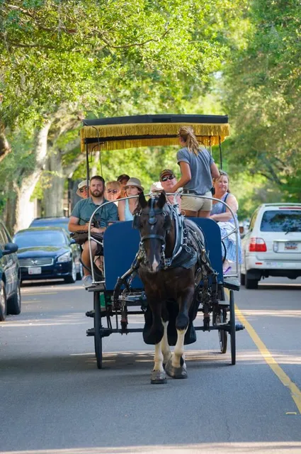 Carolina Polo and Carriage Co.