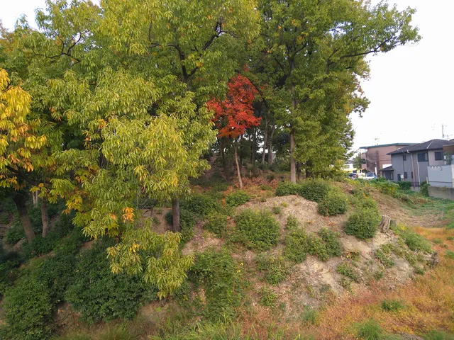 photo-3