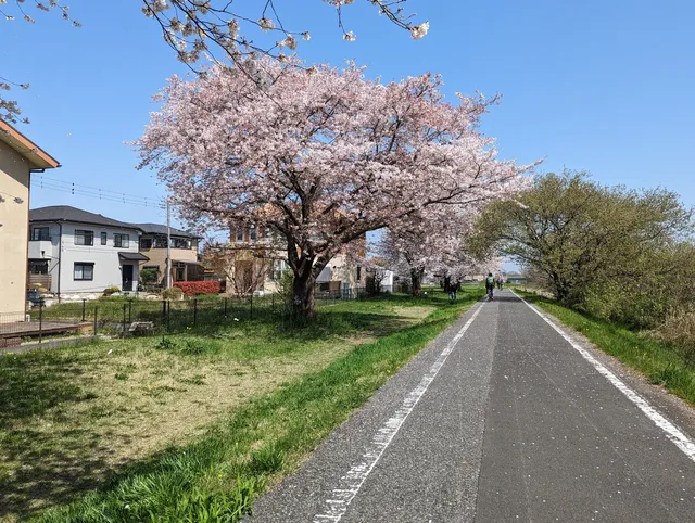 Kashiwabara Tamokuteki Park