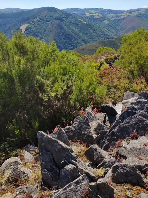 Castro de San Isidro