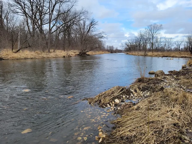 McDowell Grove Forest Preserve